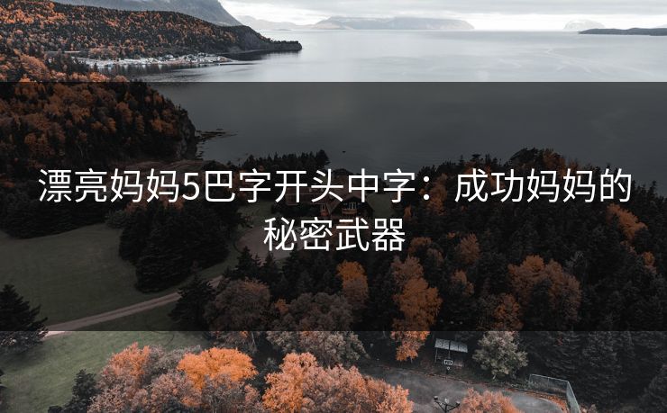 漂亮妈妈5巴字开头中字：成功妈妈的秘密武器