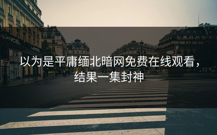 以为是平庸缅北暗网免费在线观看，结果一集封神