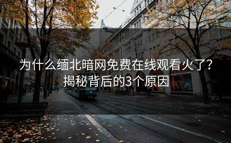 为什么缅北暗网免费在线观看火了？揭秘背后的3个原因