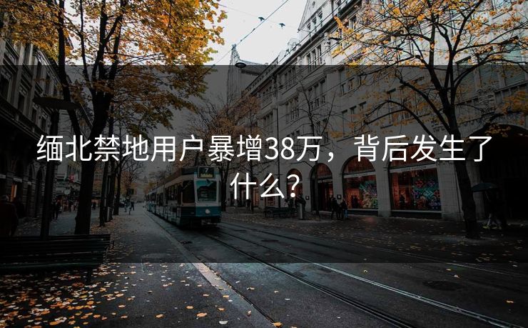 缅北禁地用户暴增38万，背后发生了什么？