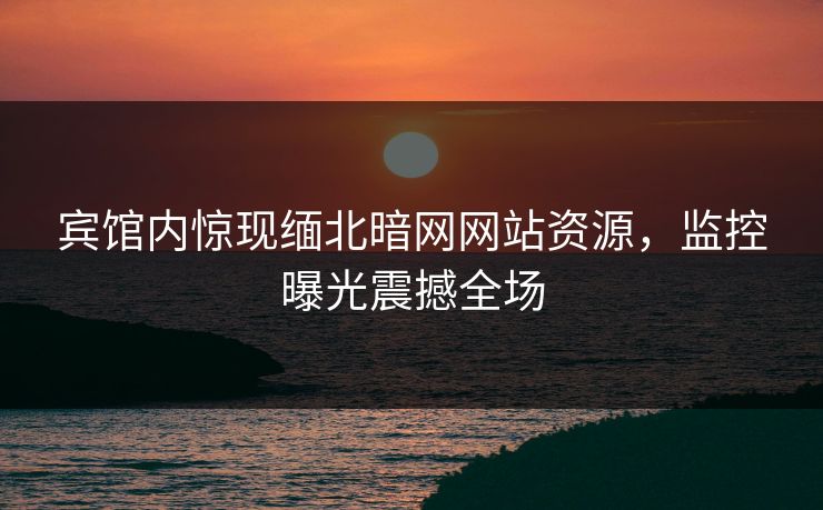 宾馆内惊现缅北暗网网站资源，监控曝光震撼全场