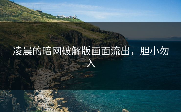 凌晨的暗网破解版画面流出，胆小勿入