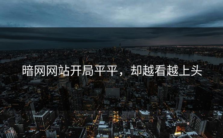 暗网网站开局平平，却越看越上头