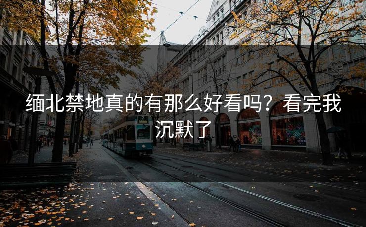 缅北禁地真的有那么好看吗？看完我沉默了