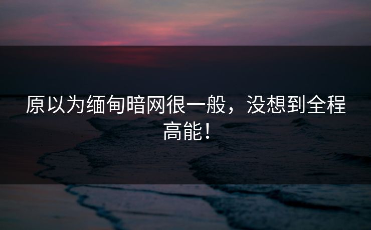 原以为缅甸暗网很一般，没想到全程高能！