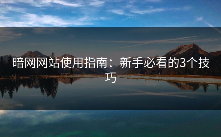暗网网站使用指南：新手必看的3个技巧