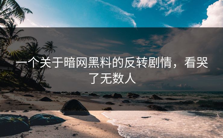 一个关于暗网黑料的反转剧情，看哭了无数人