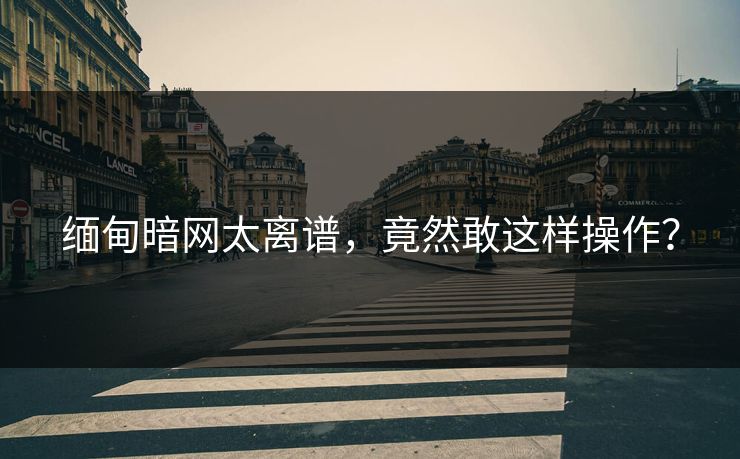 缅甸暗网太离谱，竟然敢这样操作？