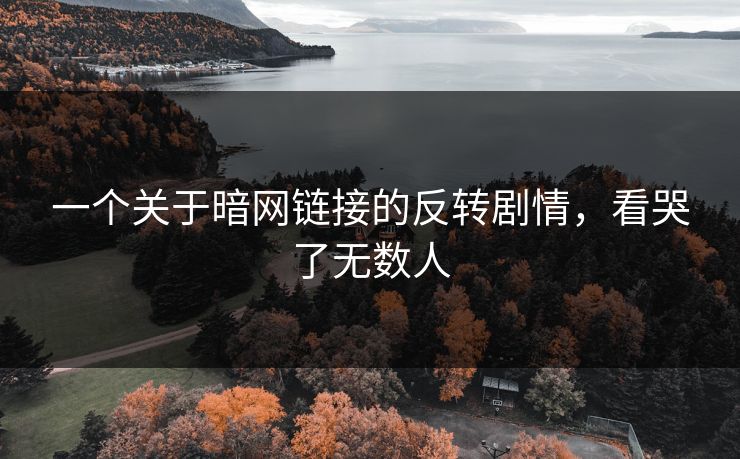 一个关于暗网链接的反转剧情，看哭了无数人