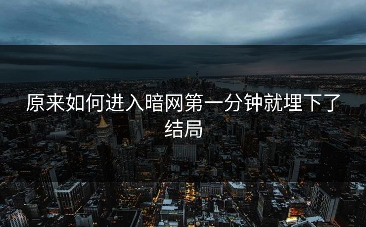 原来如何进入暗网第一分钟就埋下了结局