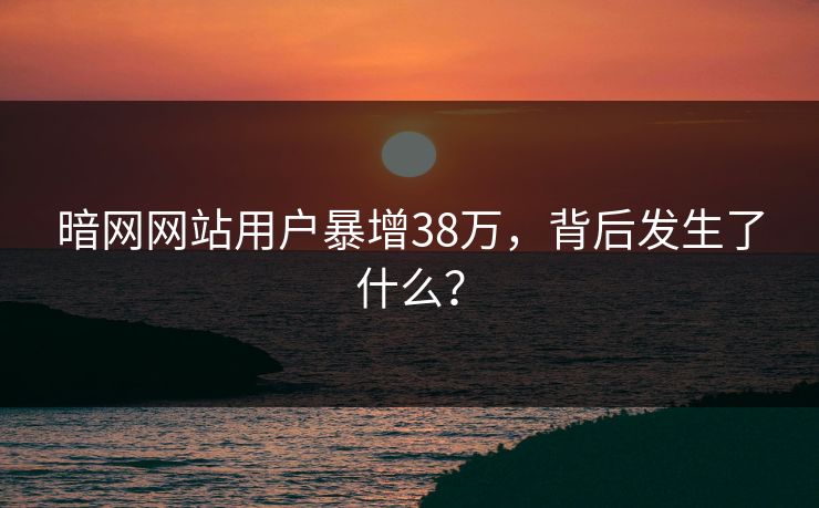 暗网网站用户暴增38万，背后发生了什么？