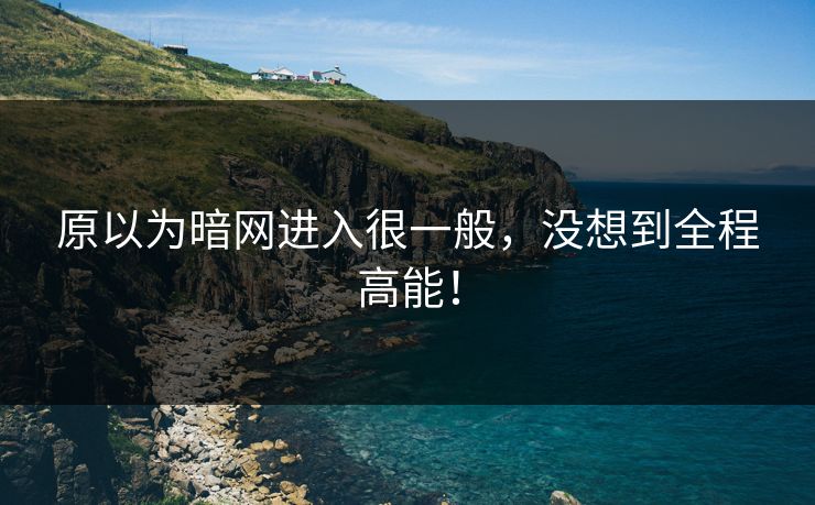 原以为暗网进入很一般，没想到全程高能！