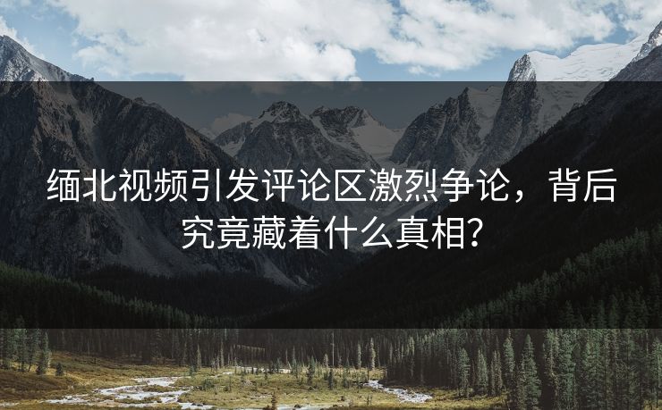 缅北视频引发评论区激烈争论，背后究竟藏着什么真相？