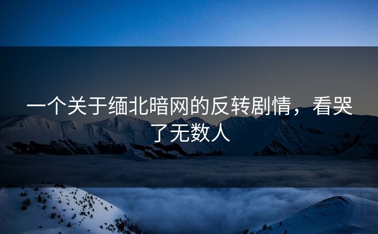 一个关于缅北暗网的反转剧情，看哭了无数人