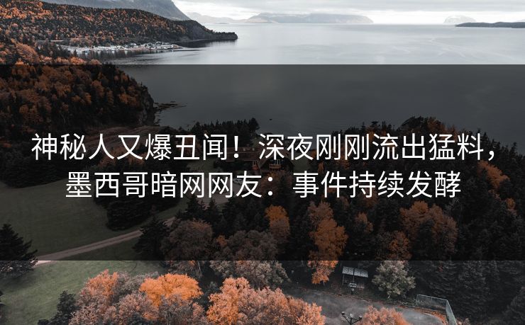 神秘人又爆丑闻！深夜刚刚流出猛料，墨西哥暗网网友：事件持续发酵