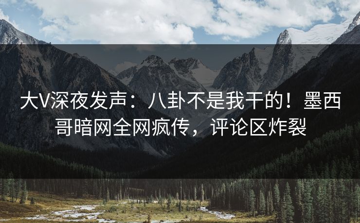 大V深夜发声：八卦不是我干的！墨西哥暗网全网疯传，评论区炸裂