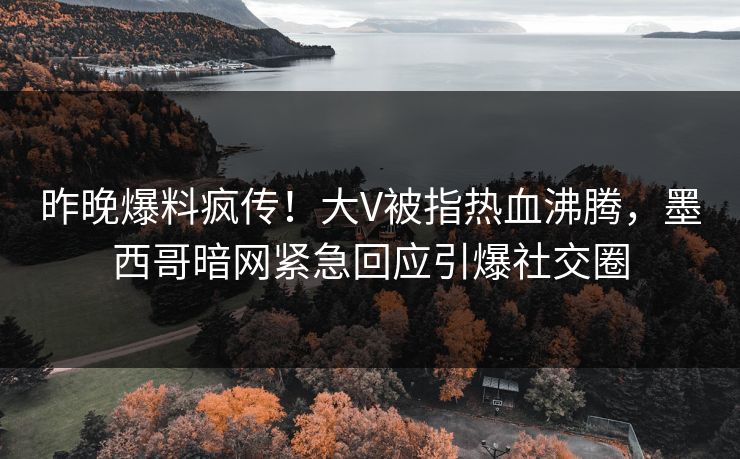 昨晚爆料疯传！大V被指热血沸腾，墨西哥暗网紧急回应引爆社交圈