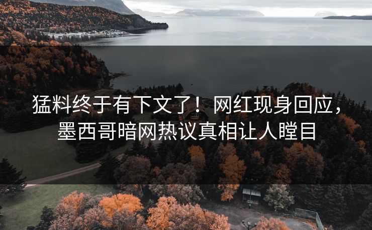 猛料终于有下文了！网红现身回应，墨西哥暗网热议真相让人瞠目