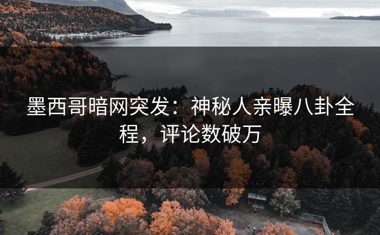 墨西哥暗网突发：神秘人亲曝八卦全程，评论数破万
