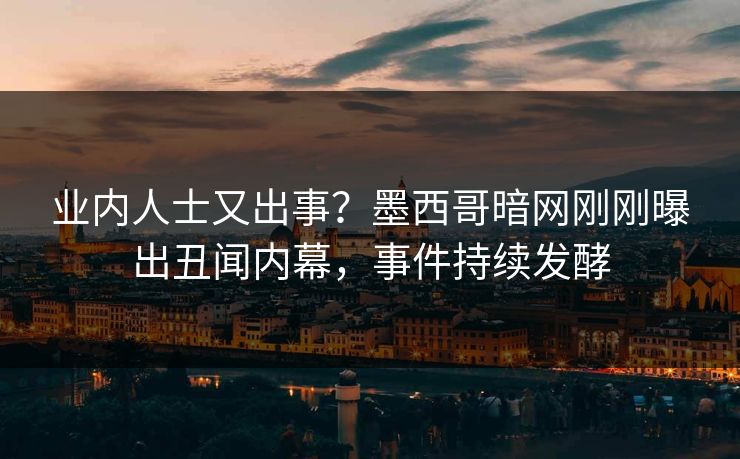 业内人士又出事？墨西哥暗网刚刚曝出丑闻内幕，事件持续发酵