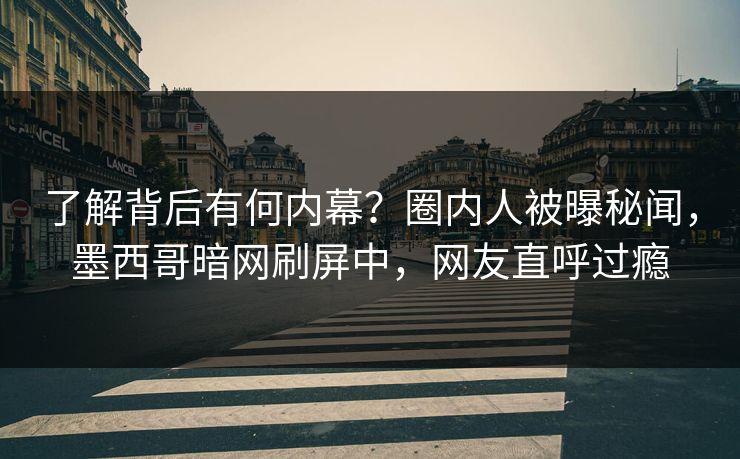 了解背后有何内幕？圈内人被曝秘闻，墨西哥暗网刷屏中，网友直呼过瘾
