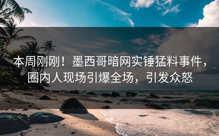 本周刚刚！墨西哥暗网实锤猛料事件，圈内人现场引爆全场，引发众怒