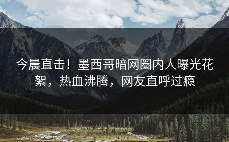今晨直击！墨西哥暗网圈内人曝光花絮，热血沸腾，网友直呼过瘾