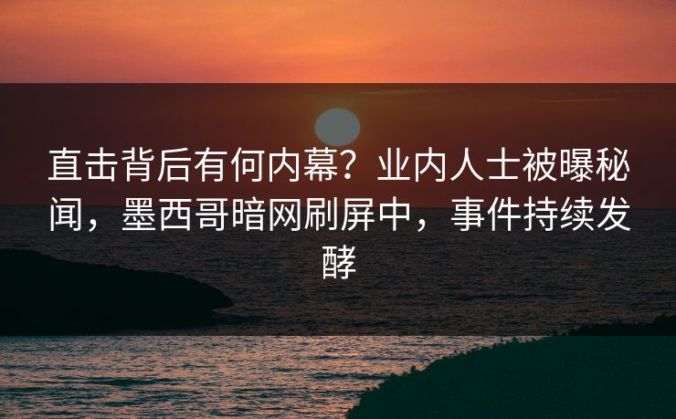 直击背后有何内幕？业内人士被曝秘闻，墨西哥暗网刷屏中，事件持续发酵