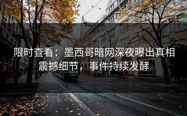 限时查看：墨西哥暗网深夜曝出真相震撼细节，事件持续发酵