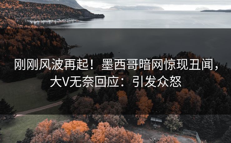 刚刚风波再起！墨西哥暗网惊现丑闻，大V无奈回应：引发众怒
