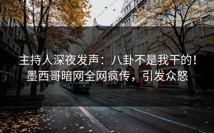 主持人深夜发声：八卦不是我干的！墨西哥暗网全网疯传，引发众怒