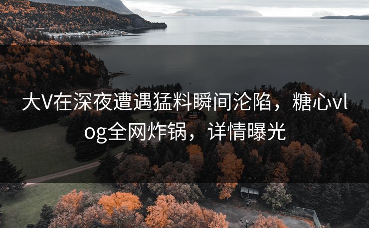 大V在深夜遭遇猛料瞬间沦陷，糖心vlog全网炸锅，详情曝光