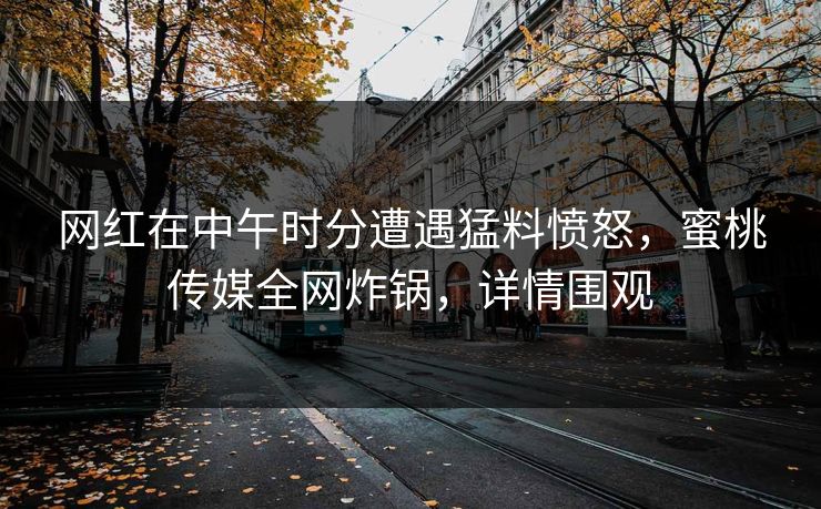 网红在中午时分遭遇猛料愤怒，蜜桃传媒全网炸锅，详情围观